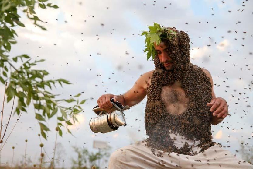 Arı Adamın hedefi Guinnesse girmek