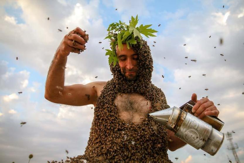 Arı Adamın hedefi Guinnesse girmek