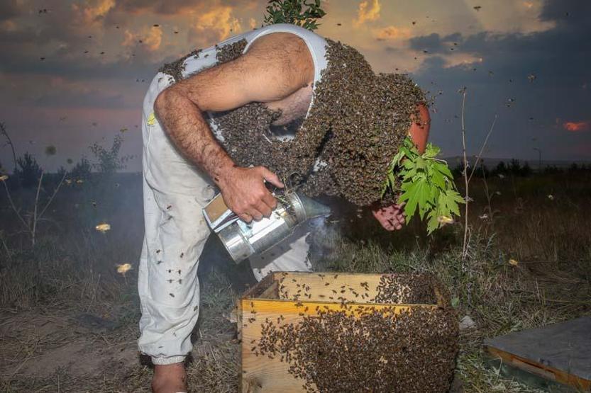 Arı Adamın hedefi Guinnesse girmek