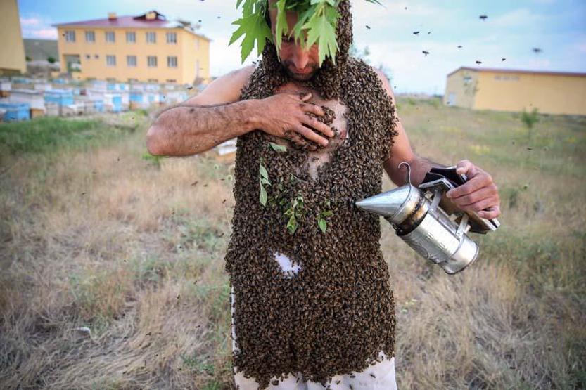 Arı Adamın hedefi Guinnesse girmek