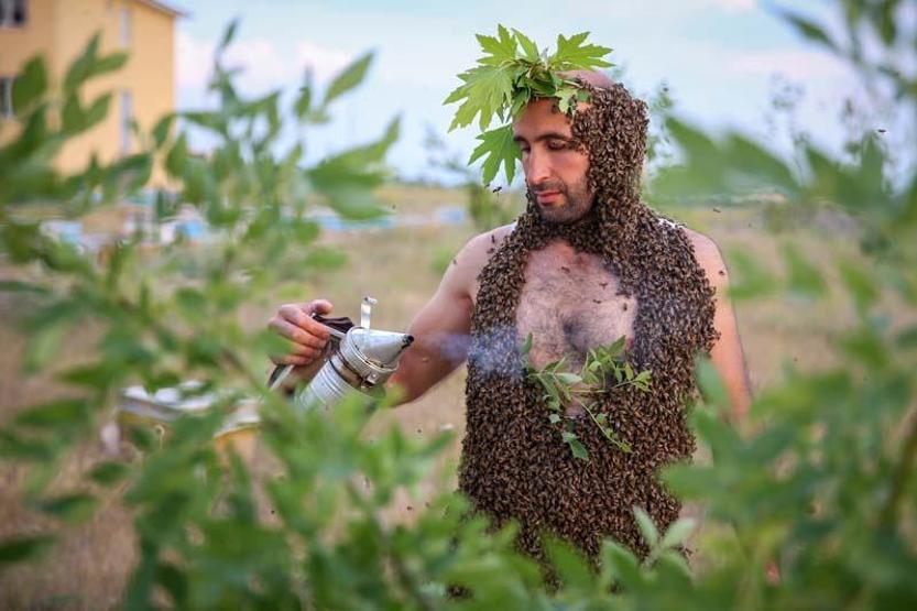 Arı Adamın hedefi Guinnesse girmek
