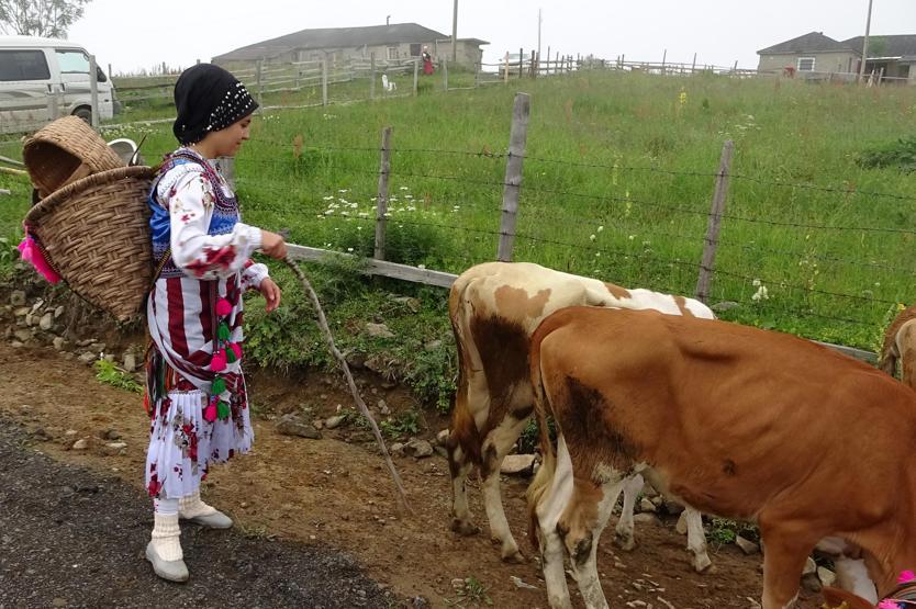 Trabzonda yayla göçü şenliğe dönüştü