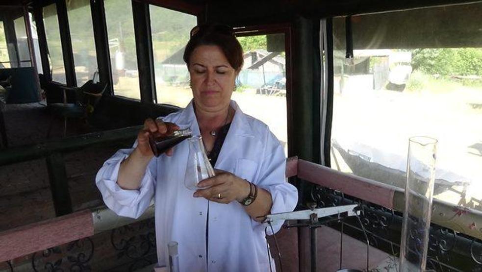 Kazdağlarından gelen şifa: Kantaron yağı