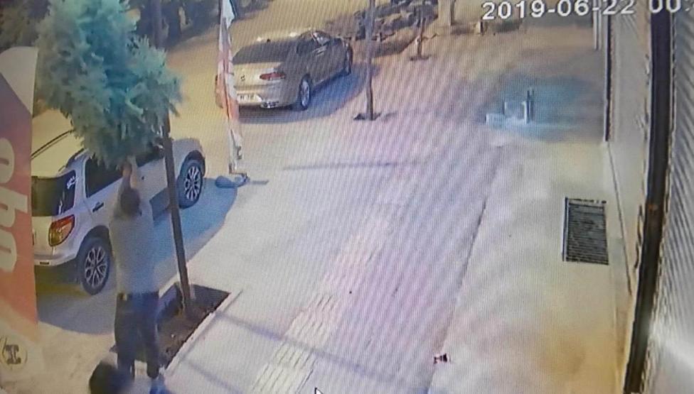 Dikili ağacı durduk yere kırmıştı Cezası belli oldu