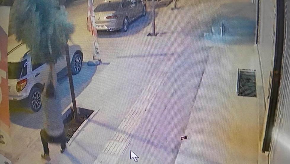 Dikili ağacı durduk yere kırmıştı Cezası belli oldu