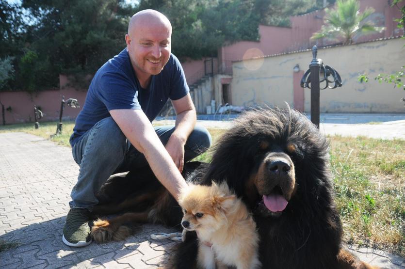 Servet değerindeki köpekleri yetiştirip yurt dışına satıyor