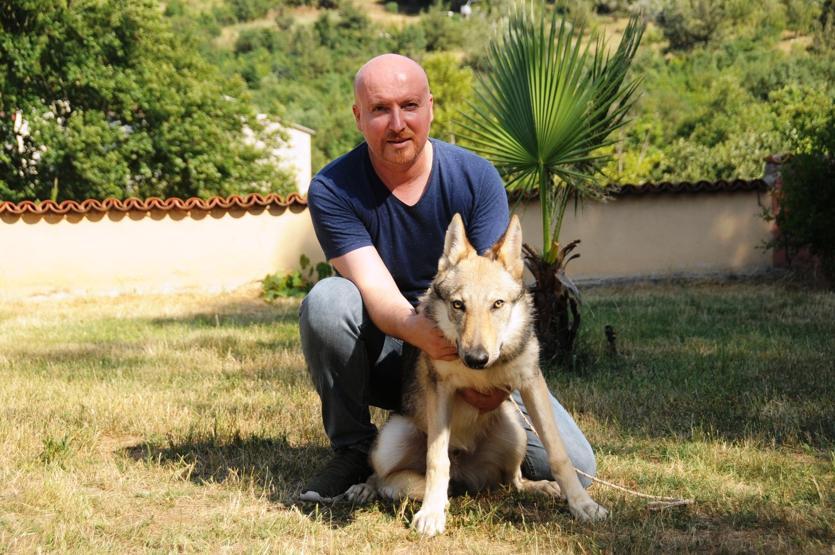 Servet değerindeki köpekleri yetiştirip yurt dışına satıyor