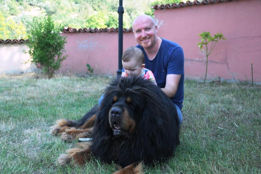 Servet değerindeki köpekleri yetiştirip yurt dışına satıyor
