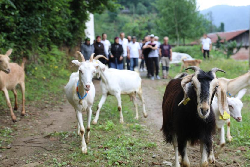 Taş ocağına iptal kararı sevindirdi