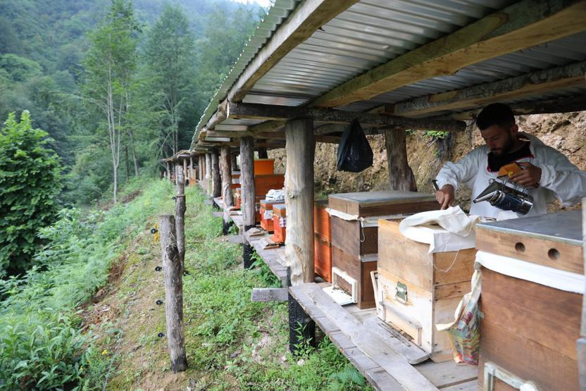 Taş ocağına iptal kararı sevindirdi