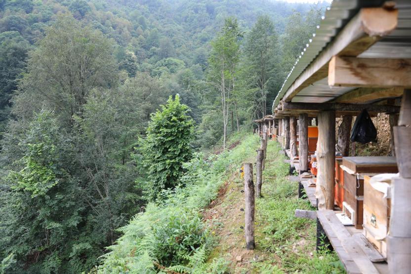 Taş ocağına iptal kararı sevindirdi