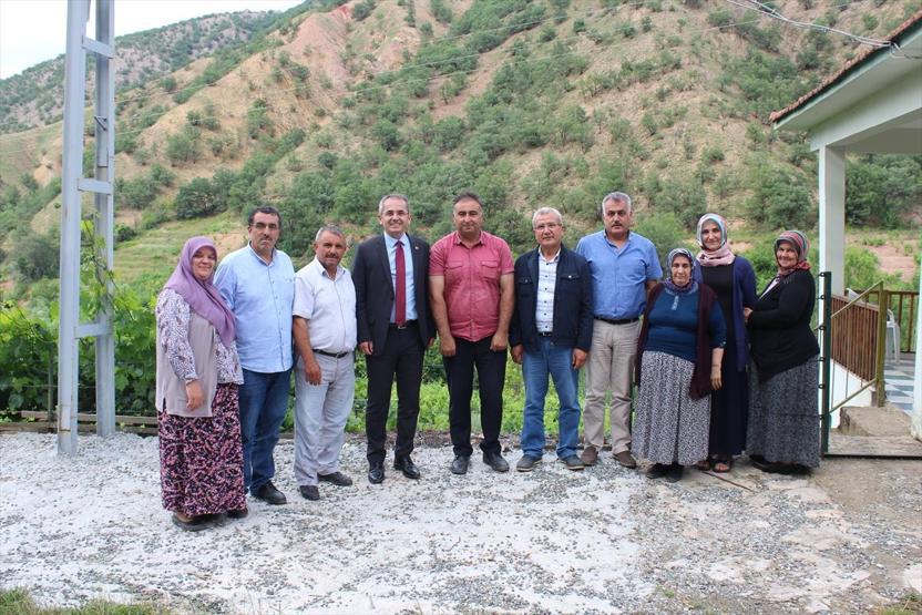 Yaprağı, meyvesinin 6 katı fiyata satılıyor