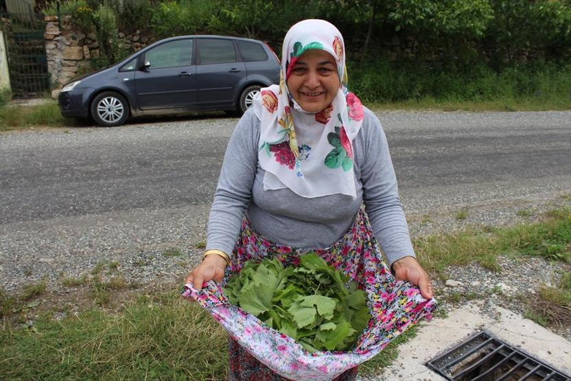Yaprağı, meyvesinin 6 katı fiyata satılıyor