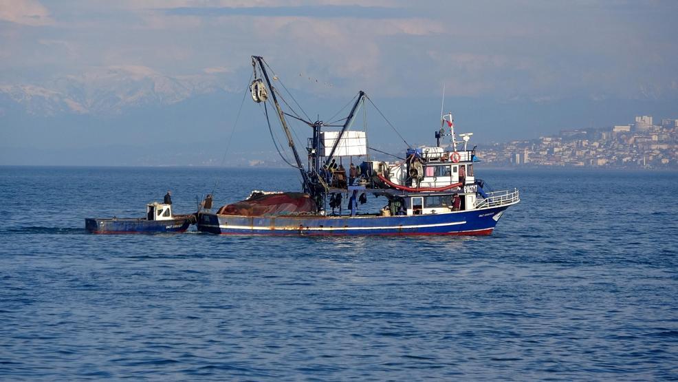 Denizlerimize 450 istilacı tür girdi
