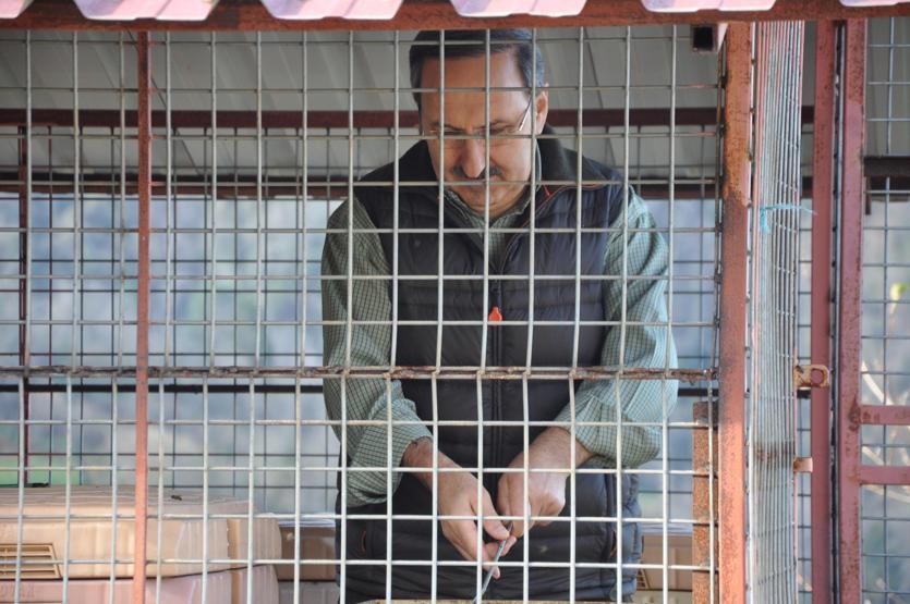 Trabzonda tesise dadanan ayılar kamerada