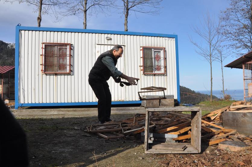 Trabzonda tesise dadanan ayılar kamerada