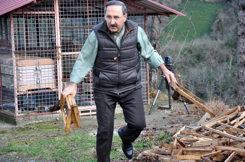 Trabzonda tesise dadanan ayılar kamerada