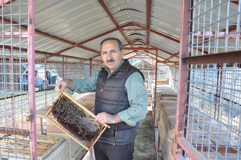 Trabzonda tesise dadanan ayılar kamerada