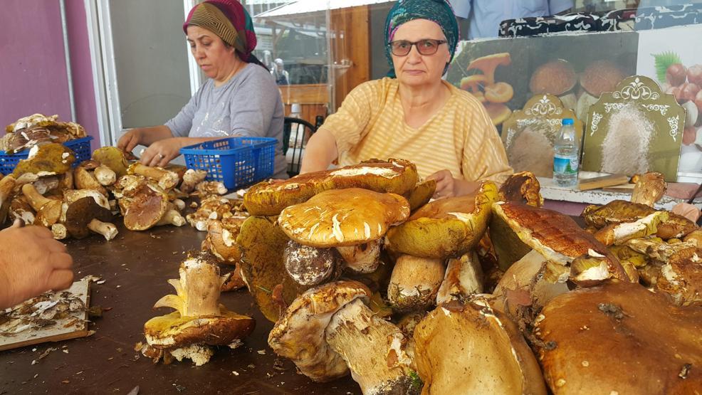 Günde 7 bin TL kazanan var Toplayıp, satıp, bina yapıyorlar...