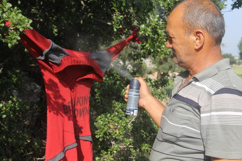 Çiftçiden domuzlardan korunmak için ilginç yöntem