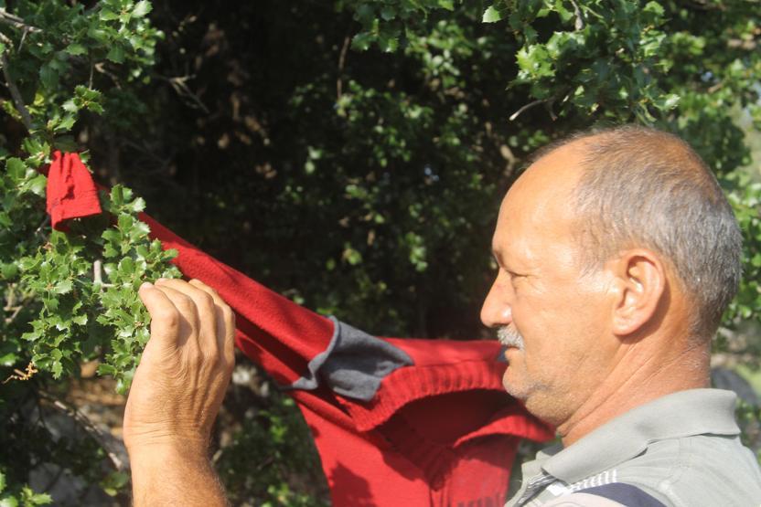 Çiftçiden domuzlardan korunmak için ilginç yöntem