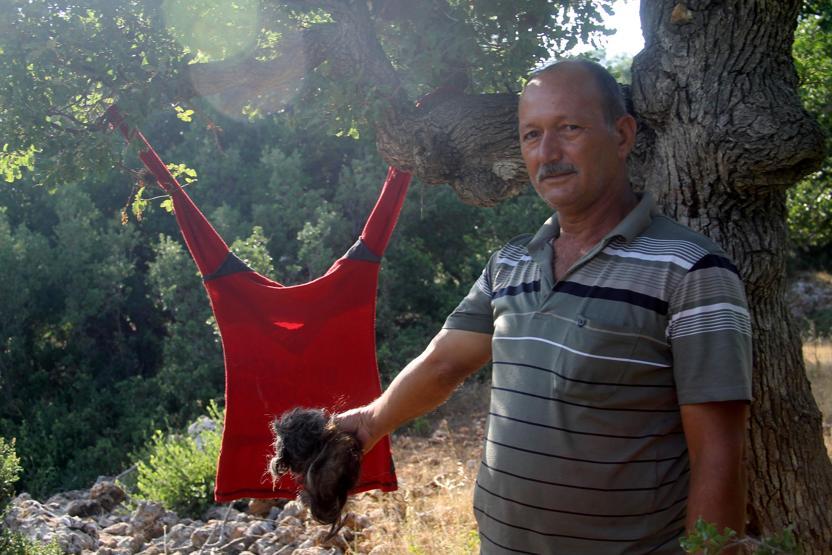 Çiftçiden domuzlardan korunmak için ilginç yöntem