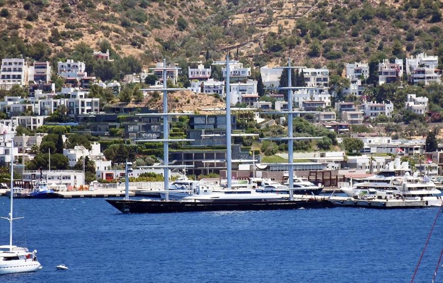 Malta Şahini Bodrumda