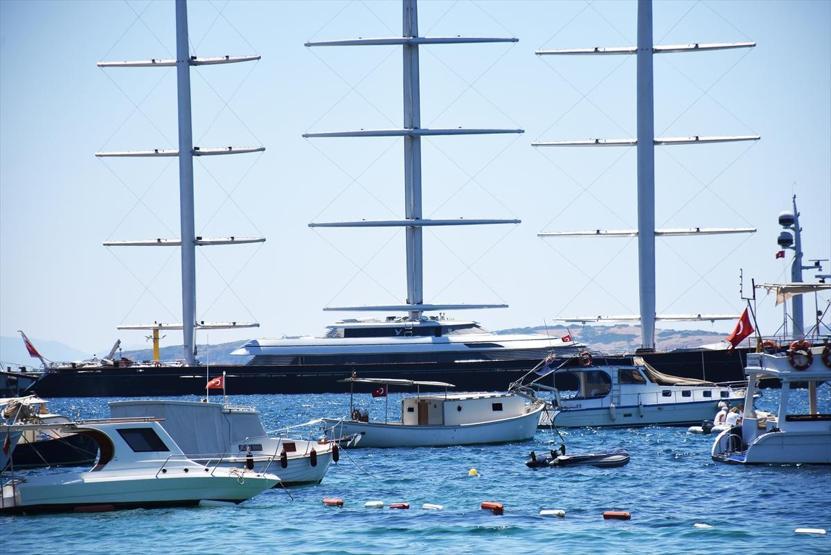 Malta Şahini Bodrumda
