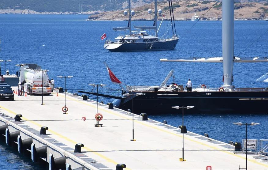 Malta Şahini Bodrumda