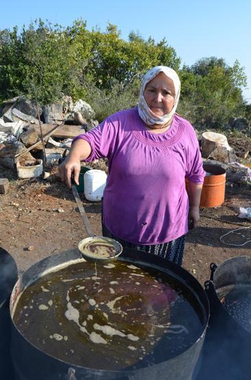 Köylülerin kazanç kapısı oldu Çoğu Avrupaya satılıyor