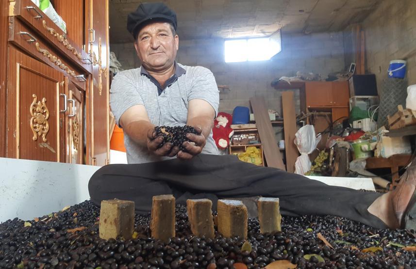 Köylülerin kazanç kapısı oldu Çoğu Avrupaya satılıyor