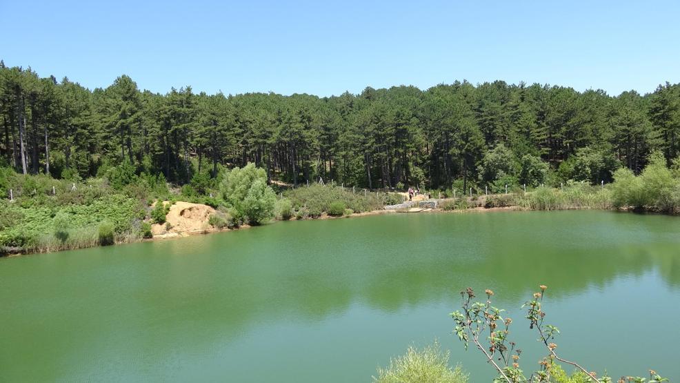 Çam ormanı içinde saklı cennet; Belenova Mesire Alanı