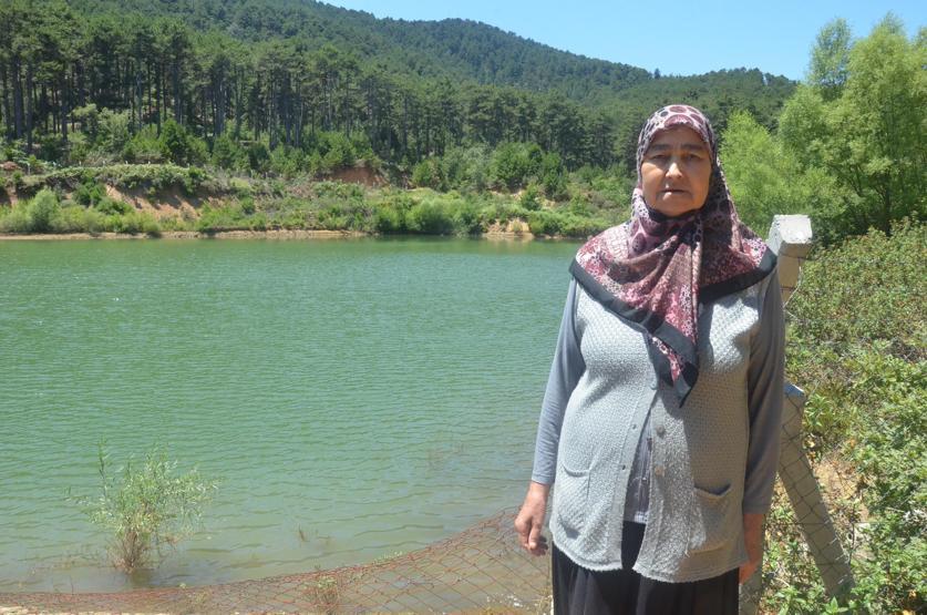 Çam ormanı içinde saklı cennet; Belenova Mesire Alanı