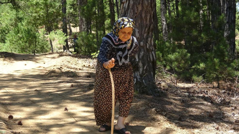 Çam ormanı içinde saklı cennet; Belenova Mesire Alanı