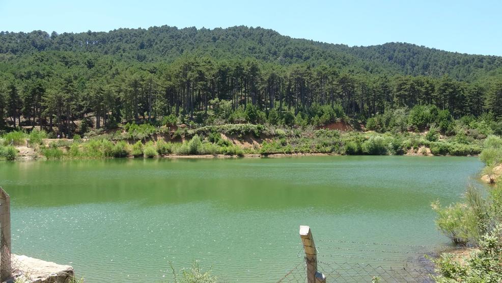 Çam ormanı içinde saklı cennet; Belenova Mesire Alanı