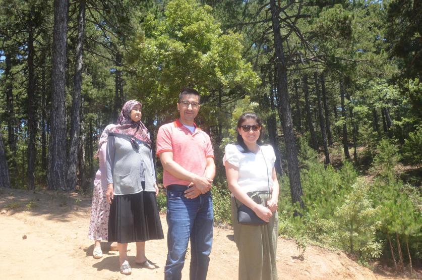 Çam ormanı içinde saklı cennet; Belenova Mesire Alanı