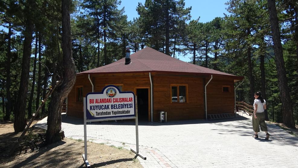 Çam ormanı içinde saklı cennet; Belenova Mesire Alanı