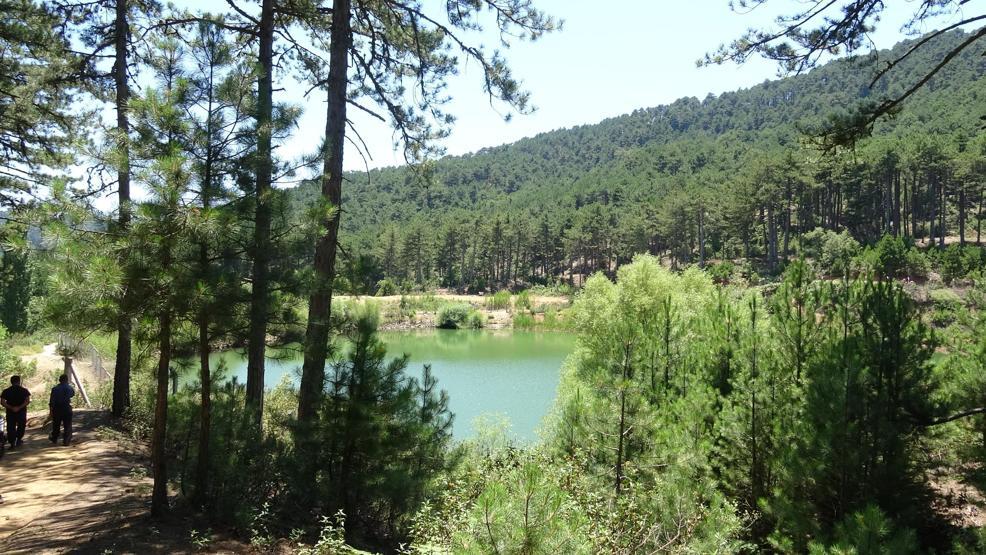 Çam ormanı içinde saklı cennet; Belenova Mesire Alanı