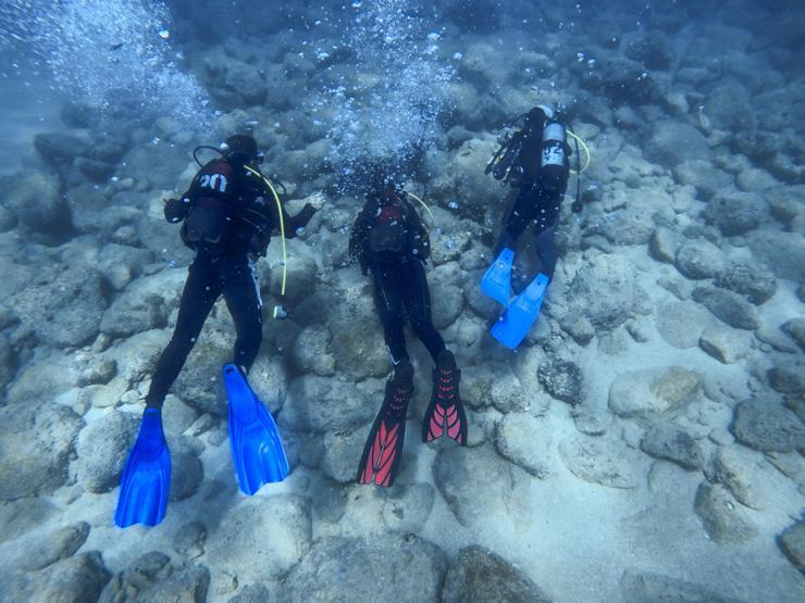 Antalyanın muhteşem su altı dünyası
