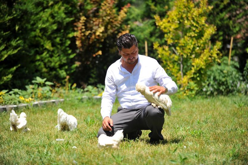 Bu tavukların fiyatı dudak uçuklatıyor