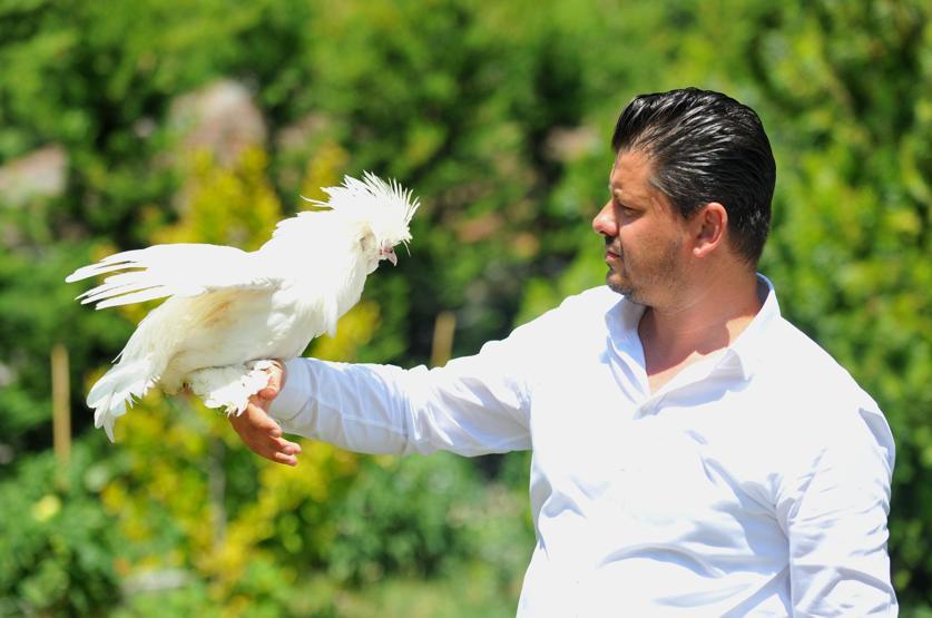 Bu tavukların fiyatı dudak uçuklatıyor
