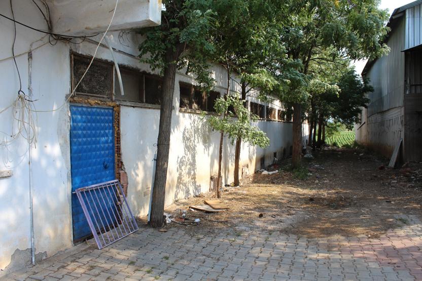 Denizli’de haciz katliamı: 40 bin tavuk telef oldu