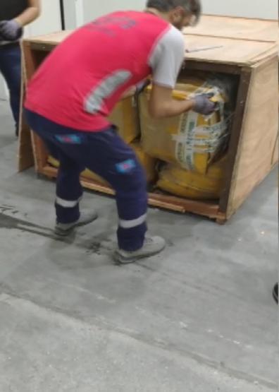 İstanbul Havalimanında 1,2 ton pangolin pulu ele geçirildi