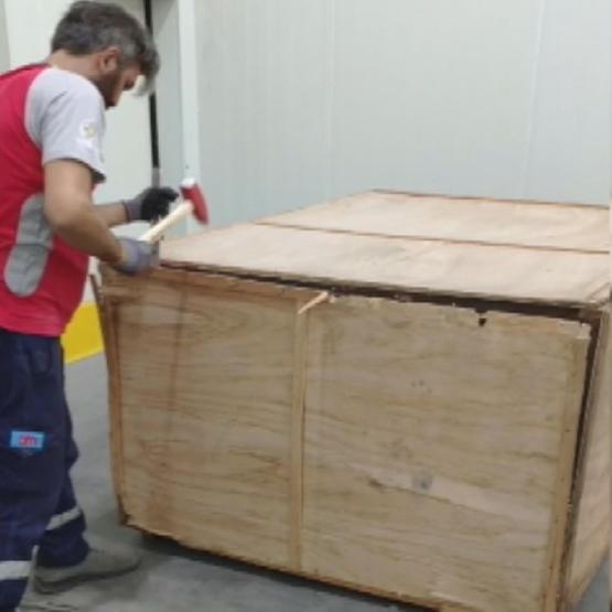 İstanbul Havalimanında 1,2 ton pangolin pulu ele geçirildi