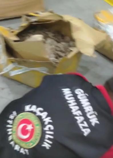 İstanbul Havalimanında 1,2 ton pangolin pulu ele geçirildi