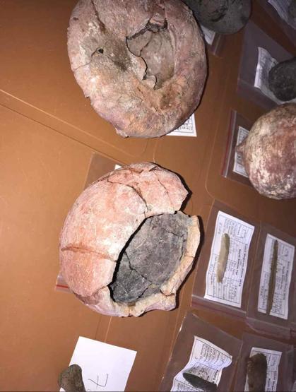 6 bin 500 yıl öncesine ait bulgular keşfedildi
