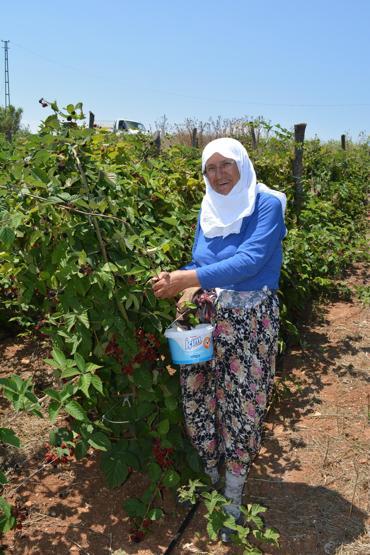 Bankacıydı bu işe girdi Şimdi siparişlere yetişemiyor