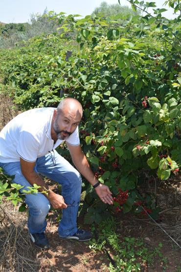 Bankacıydı bu işe girdi Şimdi siparişlere yetişemiyor