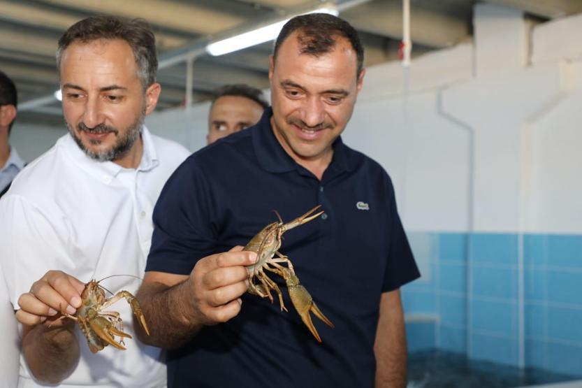 Elazığdan dünya pazarına Kilosu 100 TL