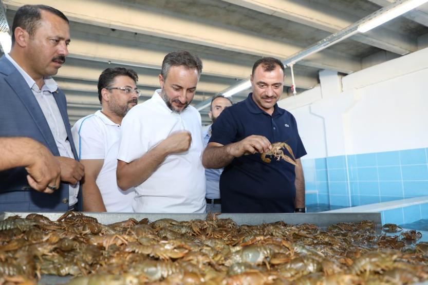 Elazığdan dünya pazarına Kilosu 100 TL